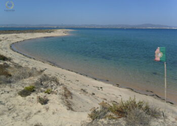 3. Cidadania Italiana… Em Portugal?!