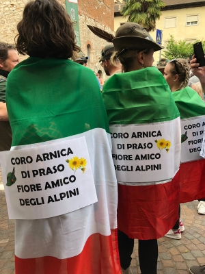 Festa Anual dos Alpinos (Trento 2018)