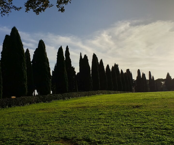 Os bucólicos ciprestes da Via Appia.