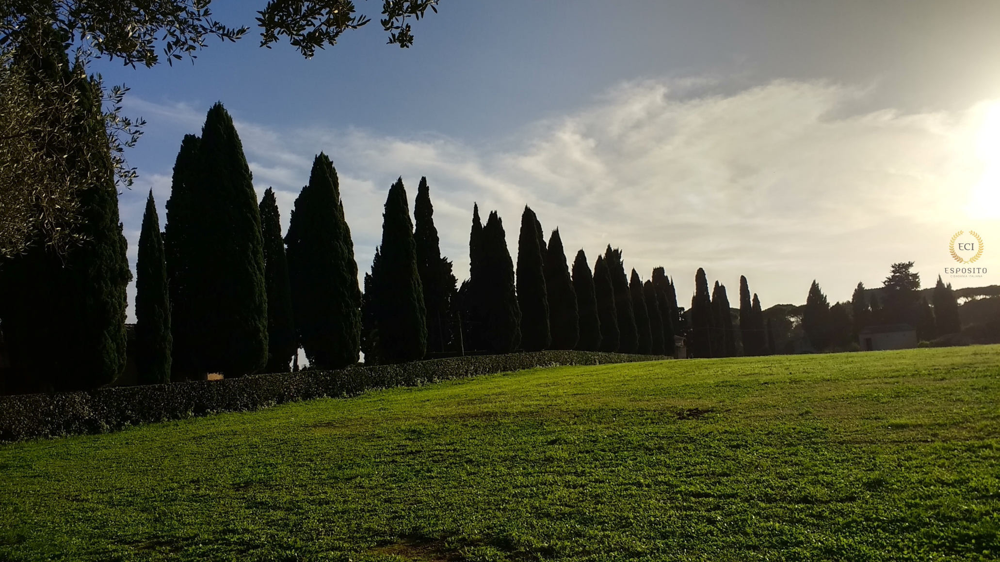 Via Appia - Ciprestes Tumbas de São Calixto (Roma - Itália)