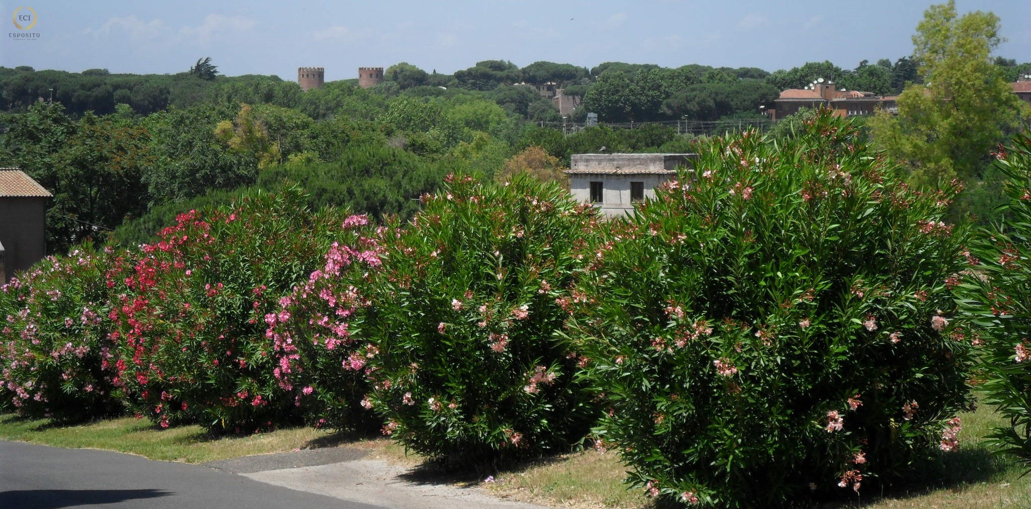 Via Appia - Estrada Tumbas de São Calixto (Roma - Itália)