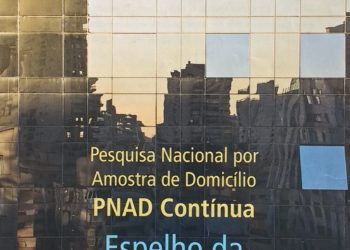“O IBGE ainda está na idade da pedra lascada”: considerações sobre a sentença do Ministro da Economia, Paulo Guedes