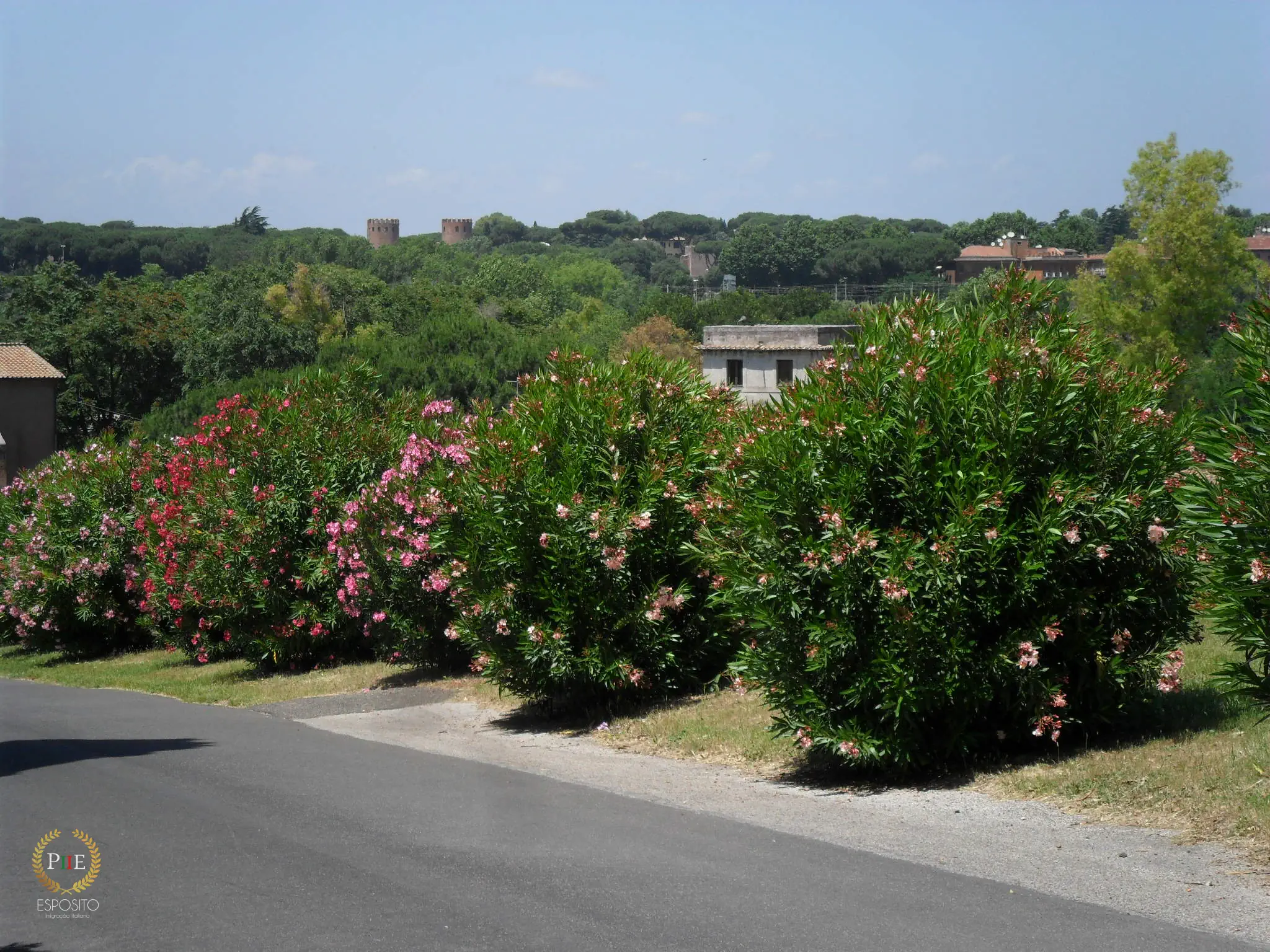 Via Appia - Estrada Tumbas de São Calixto (Roma - Itália)